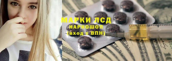 стафф Арсеньев