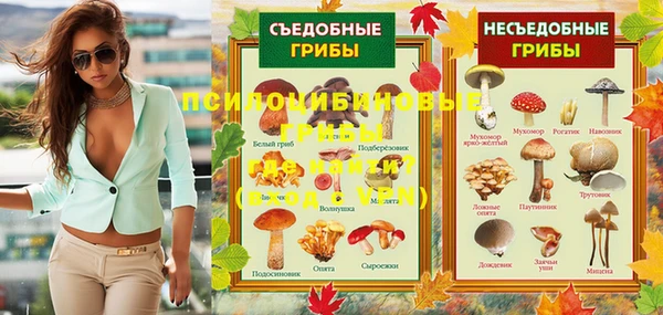 марки lsd Пересвет