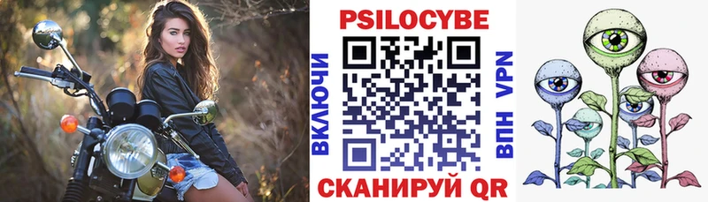 kraken как зайти  Родники  Галлюциногенные грибы GOLDEN TEACHER 